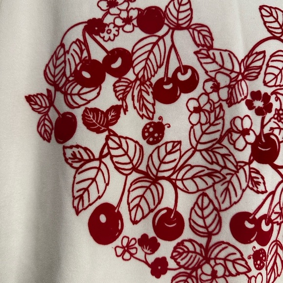 NWT Women’s Cream Pullover Red Velvet Aplique Heart, Cherry, Ladybug, Leaf Small - Picture 9 of 13